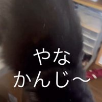 「やな感じ」と書かれた写真3