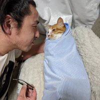 吉田さんと猫