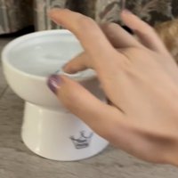 水皿の水を指に付ける飼い主さん