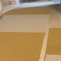 二足歩行する猫の写真1