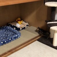 寝床に向かって