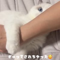ママさんの腕を掴む子猫