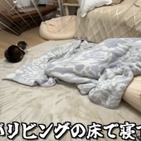 ママを見つめる2匹