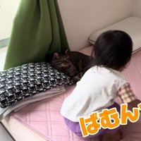 ばむんっ