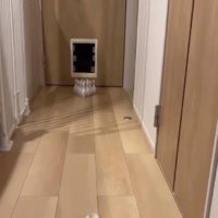 ピンに向かって進む小さなサッカーボール