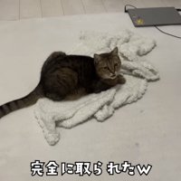 「完全に取られたｗ」のテロップ写真