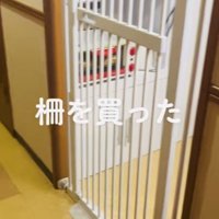 子猫がキッチンに入らないように設置された柵