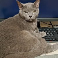 こちらを向いた姿