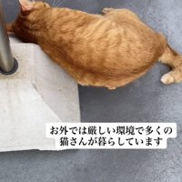 「お外では...」のテロップ写真