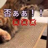 拒否