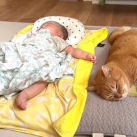 眠るふたり