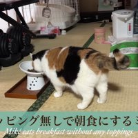 テロップ「トッピング無しで～」