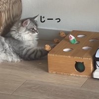 「じー」と書かれた写真