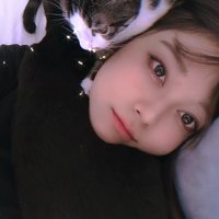 飼い主の顔周りにくっつく2匹の猫