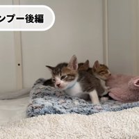 目を閉じそうに