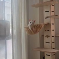 キャットタワーと猫