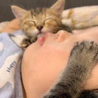 子どもの顔に乗った猫の前足と奥で寝ている子猫