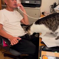 電話をする代表