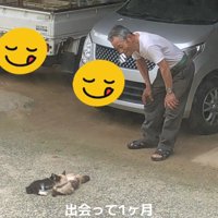 猫一家とおじいちゃん