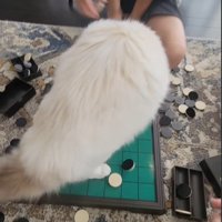 立ち上がる