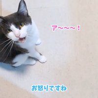 テロップ「お怒りですね」