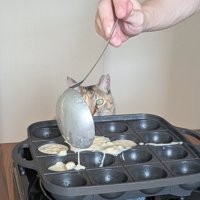 お玉の影から見つめるこむぎちゃん