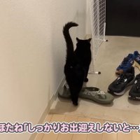しっかりお出迎えしないと…
