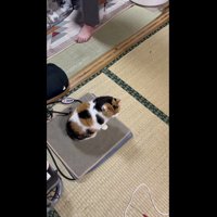 お父さんがでてきた写真