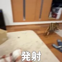 発射