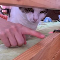 指差し