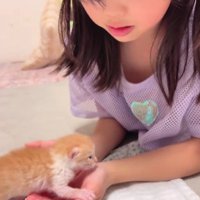 女の子の手にのる子猫
