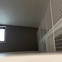 近づいてくる姿