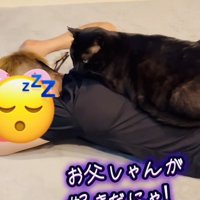 お父さんの背中に乗る黒猫