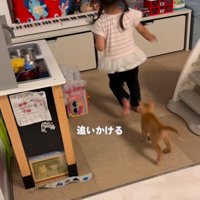 子どもの後を走る子猫