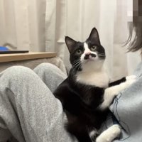 隙間に挟まる姿