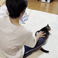 猫と男性