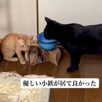 「優しい小鉄が居て良かった」のテロップ写真