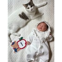 室内にいる猫