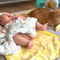 ぐずる赤ちゃん