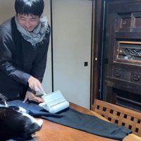 服の毛を取る飼い主と猫