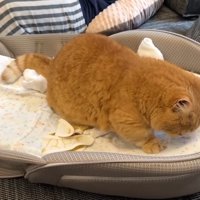 ほりほり