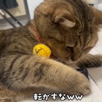 転がすなww