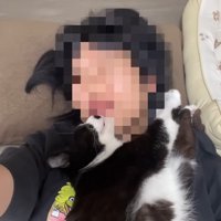 上から