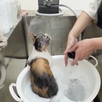 後ろ姿