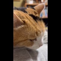 右下を向いて