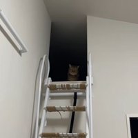 ロフトから確認するみにら君