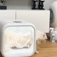 ドライヤーハウスの外へ