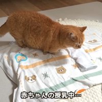 赤ちゃんの授乳中