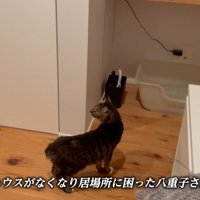 テロップ「ハウスがなくなり～」