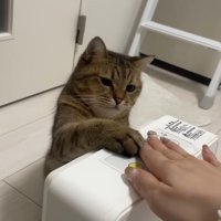 ふたりでタッチ